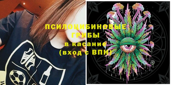 твердый Балахна