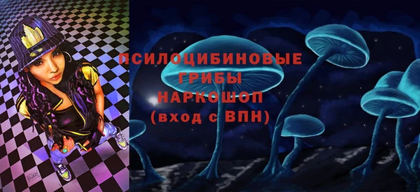 твердый Балахна