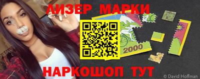 стаф Берёзовский
