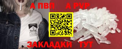 стаф Берёзовский