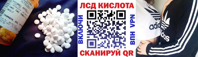 Лсд 25 экстази ecstasy  Горно-Алтайск 