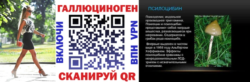 Псилоцибиновые грибы Psilocybine cubensis Горно-Алтайск