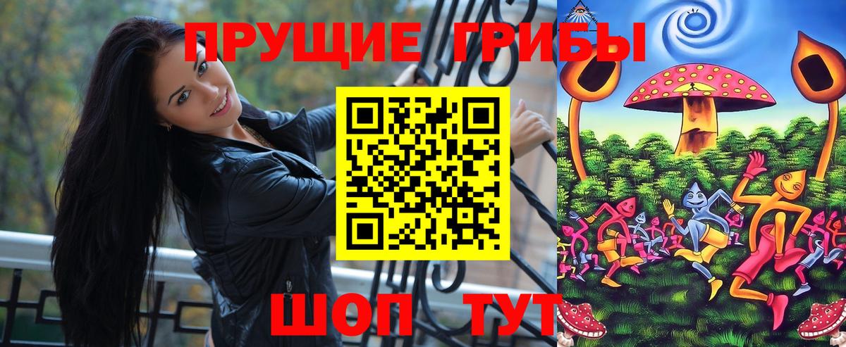 Горно-Алтайск  Галлюциногенные грибы мухоморы  Вход с VPN 