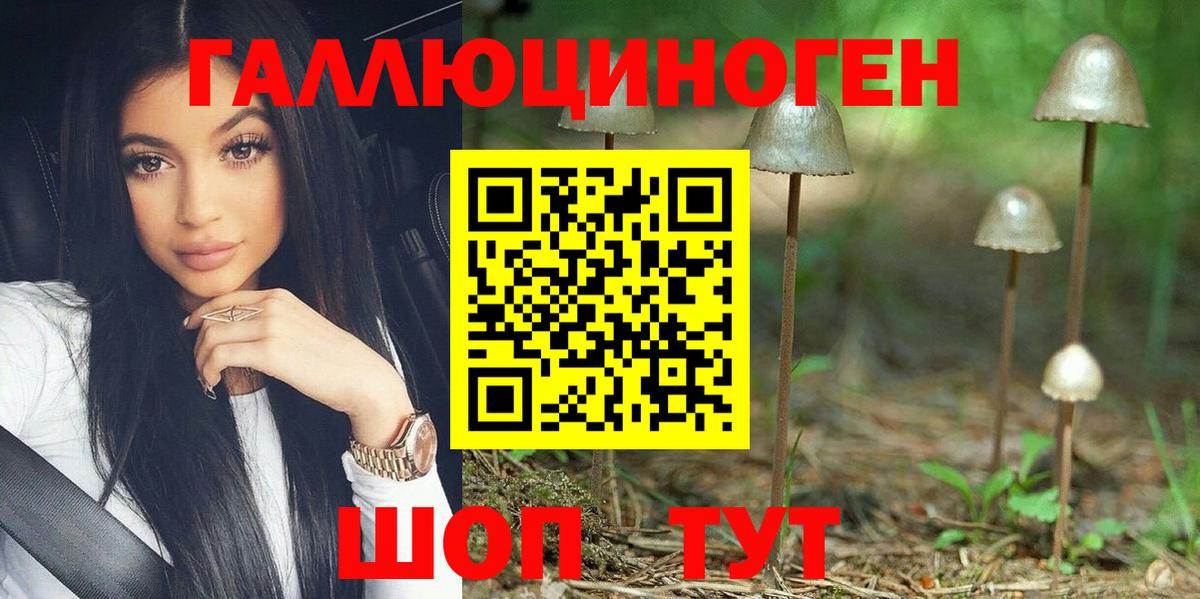 наркота  Горно-Алтайск  Галлюциногенные грибы мицелий 